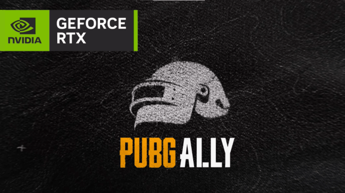 PUBG Ally 2025