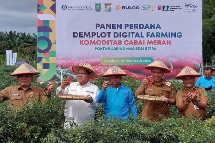 Digital Farming, Hasil Panen Cabai Merah Meningkat Sampai 1,5 Kg per Batang Simulasi Berkebun Virtual, Bisa Tanam Durian dan Cabai